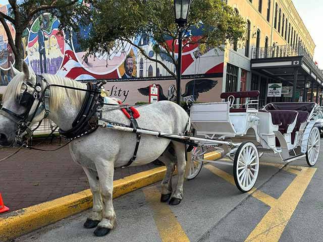 Galveston Carriage Tours by Sacred Spur Carriage