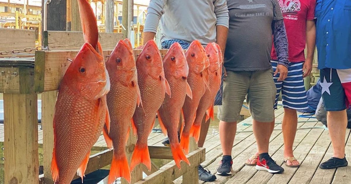 fishing tours in galveston