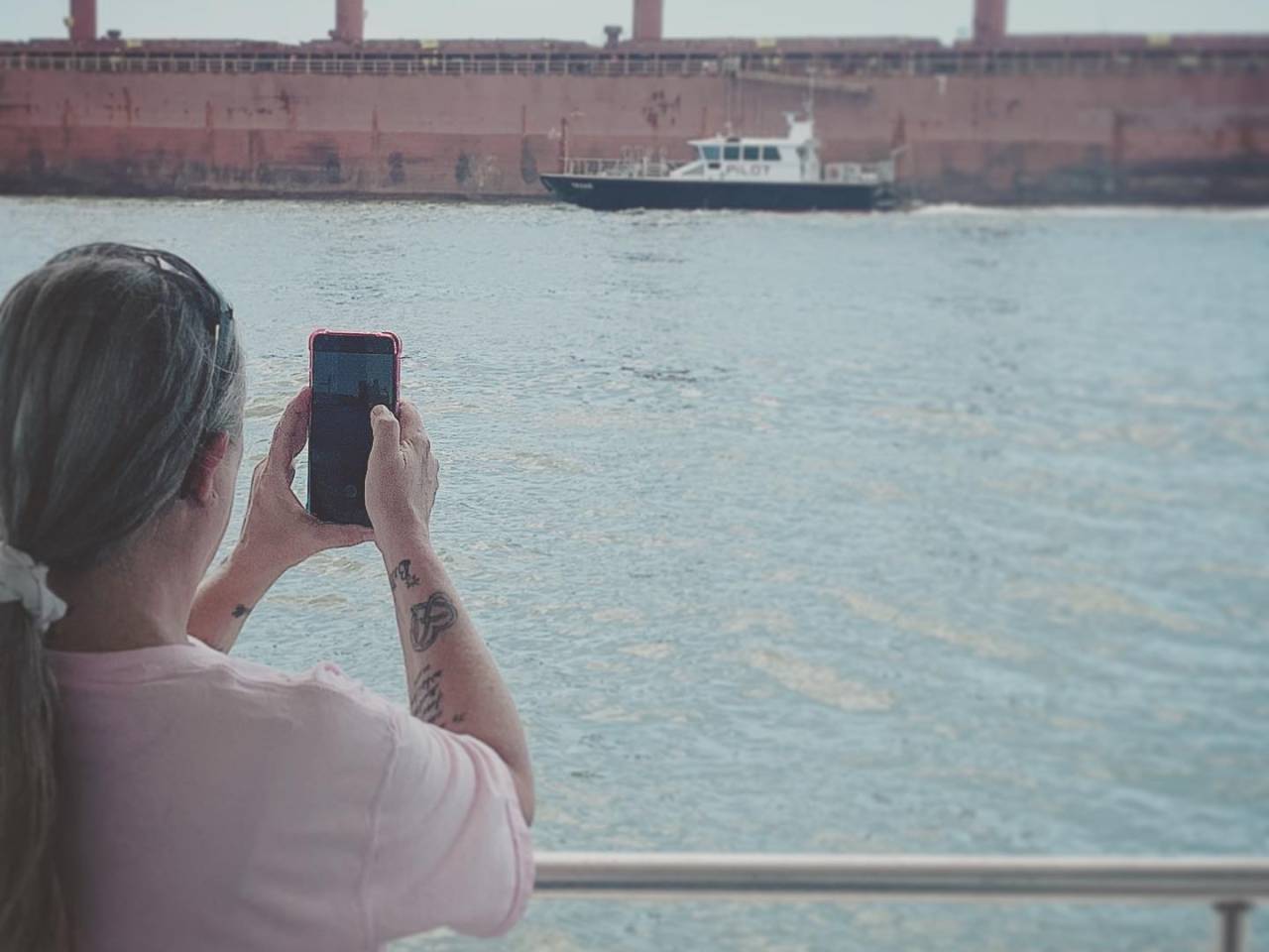 Galveston Harbor Tour and Dolphin Watch