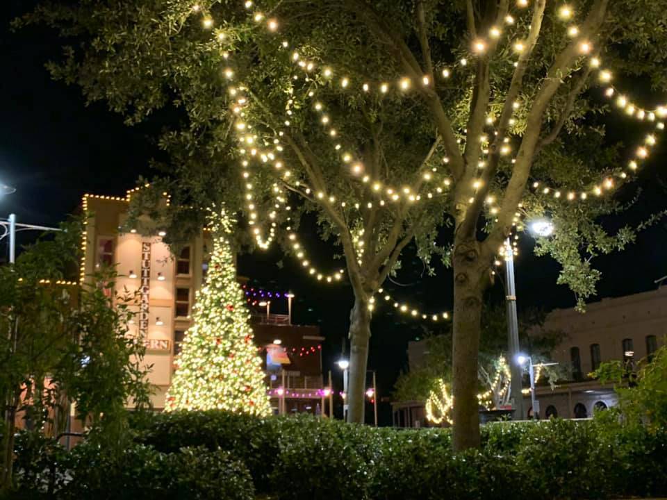 Galveston's Official Tree Lighting in Downtown Galveston