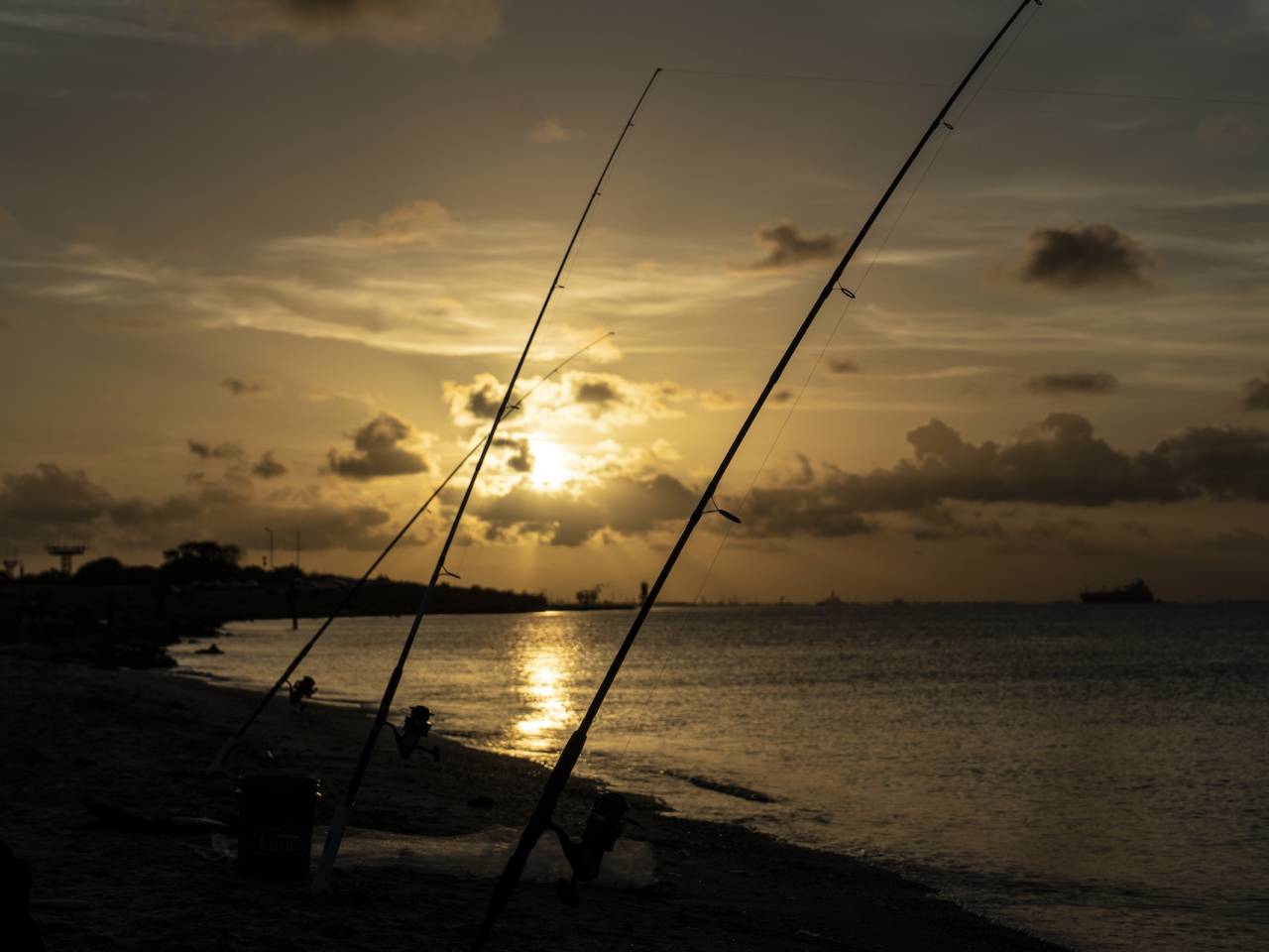 Fishing poles sunset