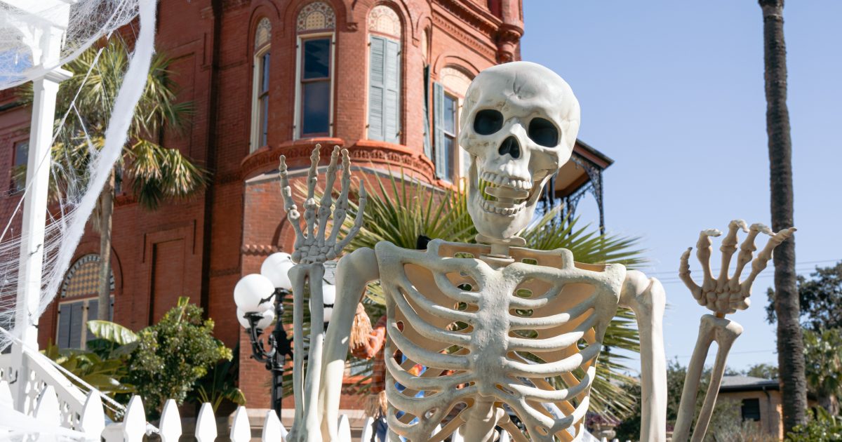 Galveston Halloween Events 2024 Visit Galveston