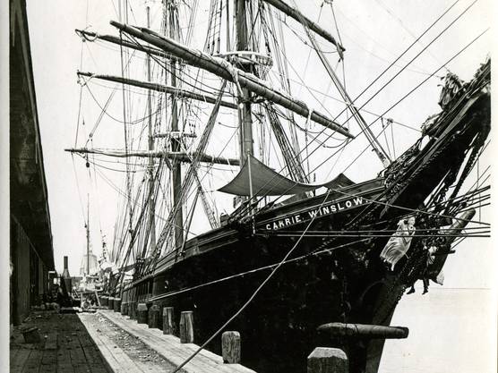 harbor tours in galveston